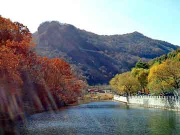 新澳天天开奖资料大全旅游团，异界称神txt